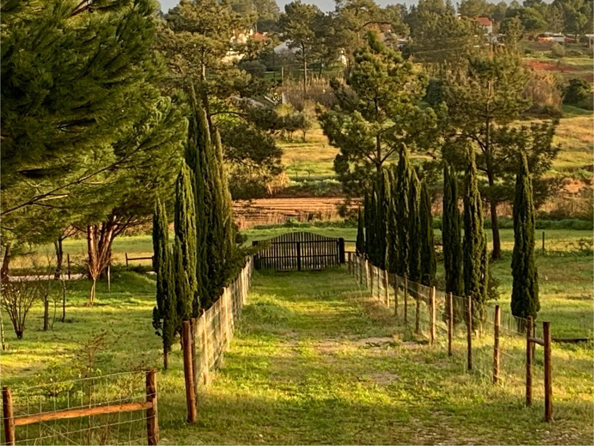 Villa Sana *
